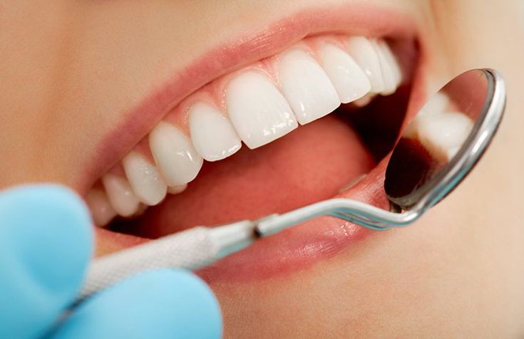 치과치료보험